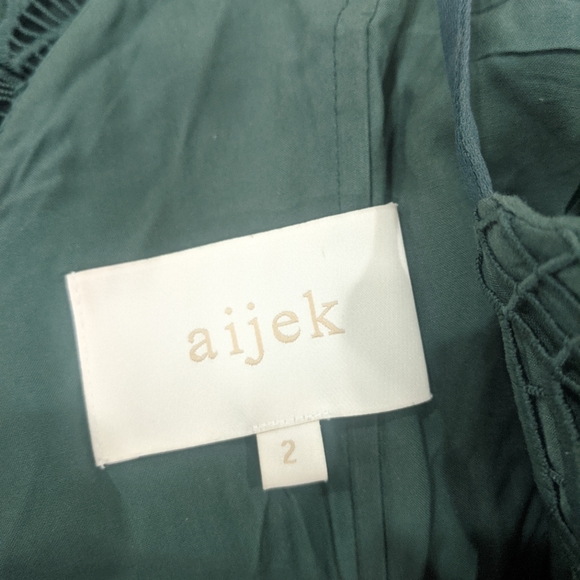 Aijek Green Love Is Embroidered Fit and Flare Lace Dress - Picture 12 of 15